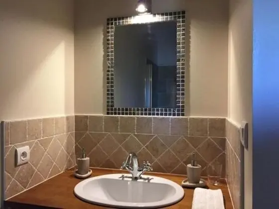 Tek Büyük Yataklı Oda, Park Manzaralı (Agapanthe)