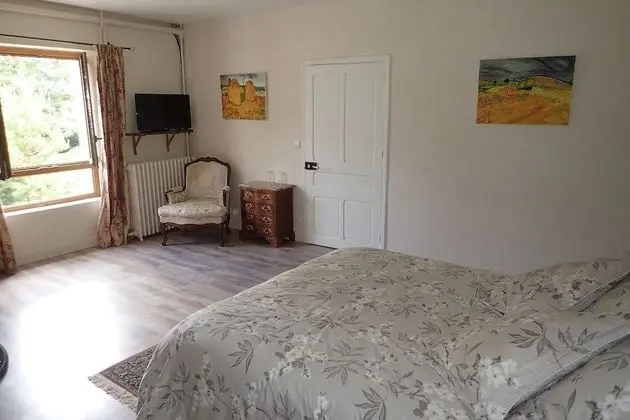 Deluxe Tek Büyük Yataklı Oda (Cocoon)