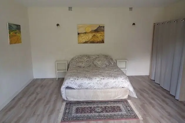 Deluxe Tek Büyük Yataklı Oda (Cocoon)