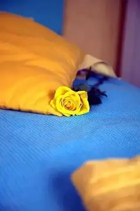 Tek Büyük veya İki Ayrı Yataklı Oda (Viognier)