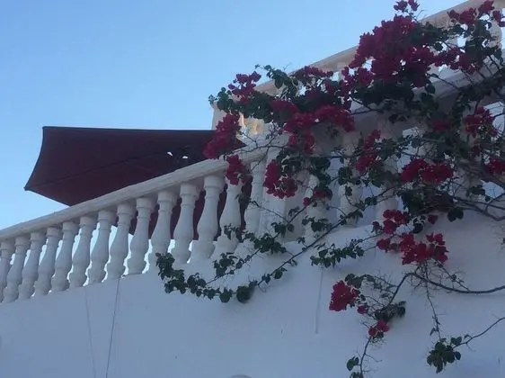 Luxury Tek Kişilik Oda, Sigara İçilmez