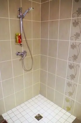 Tek Büyük Yataklı Oda (La Grande Vigne)