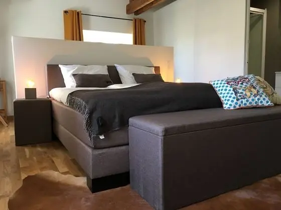 Deluxe Tek Büyük Yataklı Oda (Amour)