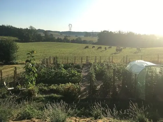 Comfort Oda, Birden Çok Yatak, Sigara İçilmez, Bahçe Manzaralı