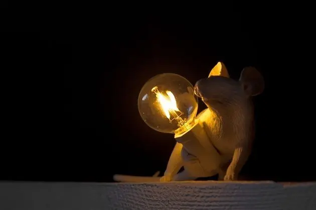 Süit (Cyprès et Acacias)