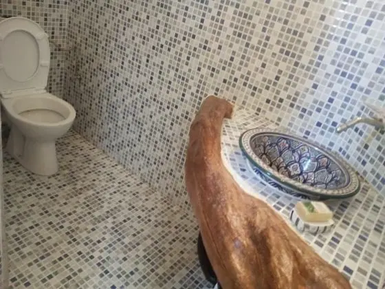 Comfort Stüdyo, Sigara İçilmez