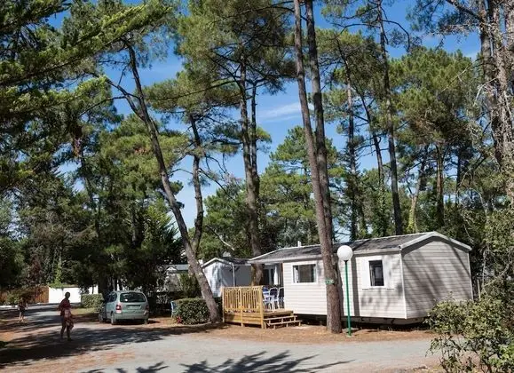 Bungalov, 3 Yatak Odası