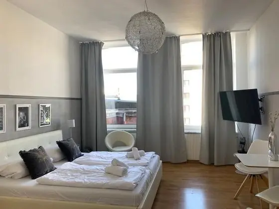 Superior Stüdyo, 1 En Büyük (King) Boy Yatak, Sigara İçilmez