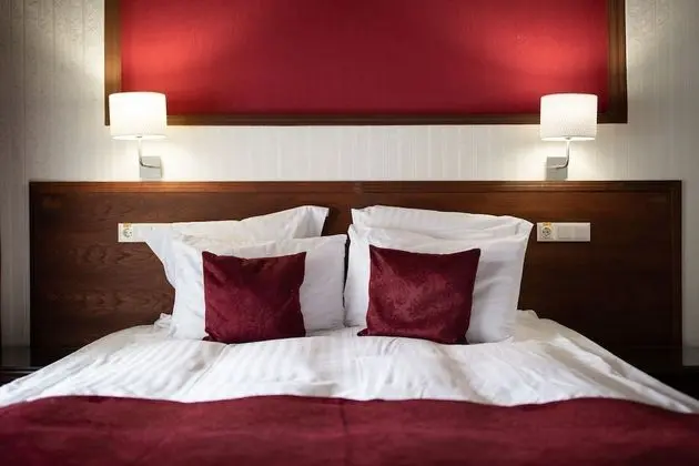 Superior Tek Büyük veya İki Ayrı Yataklı Oda, 1 Yatak Odası