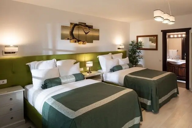 Superior Tek Büyük veya İki Ayrı Yataklı Oda, 1 Yatak Odası