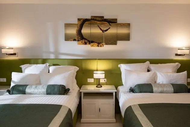 Superior Tek Büyük veya İki Ayrı Yataklı Oda, 1 Yatak Odası