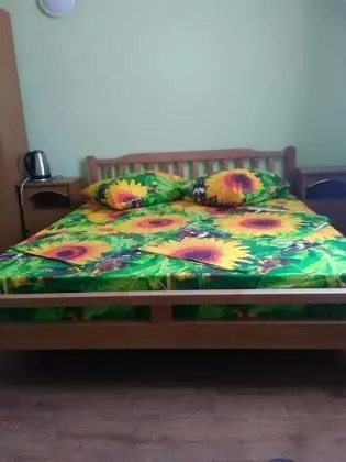 Standard Tek Büyük Yataklı Oda, 1 En Büyük (King) Boy Yatak, Avlu Manzaralı