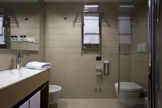 Executive Tek Büyük veya İki Ayrı Yataklı Oda