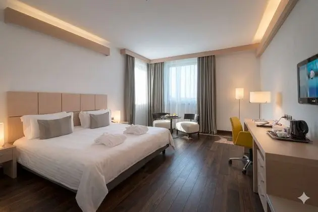 Executive Tek Büyük veya İki Ayrı Yataklı Oda