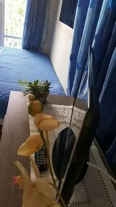 Deluxe Dört Kişilik Oda, Banyolu/Duşlu