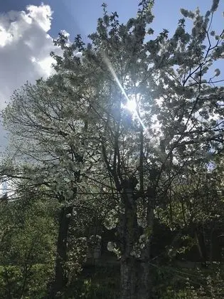 Ev, Birden Çok Yatak