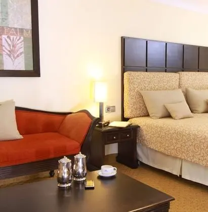 Deluxe Büyük Yataklı Tek Kişilik Oda, Şehir Manzaralı