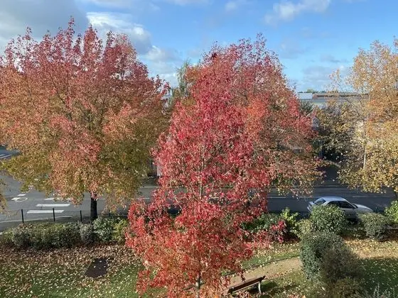 Apart Daire, Engellilere Uygun, Banyolu/Duşlu (T2)