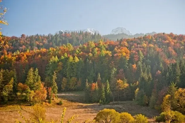 Dağ Evi (3 bedrooms, number 2)