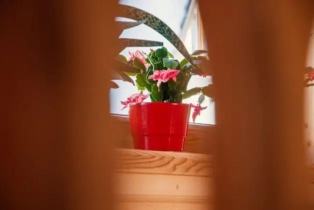 Kır Evi, 2 Yatak Odası