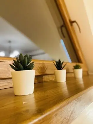 Deluxe Sıra Ev, 2 Yatak Odası (B)