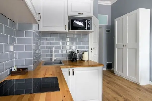 Classic Apart Daire, 1 Yatak Odası, Küçük Mutfak, Şehir Manzaralı