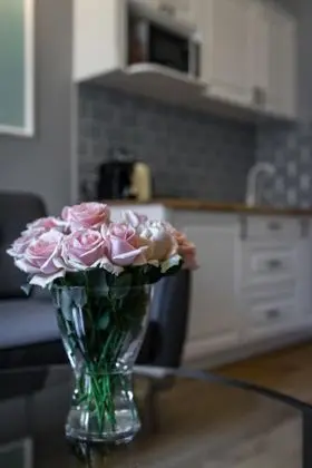 Exclusive Apart Daire, 2 Yatak Odası, Balkon, Bahçe Manzaralı