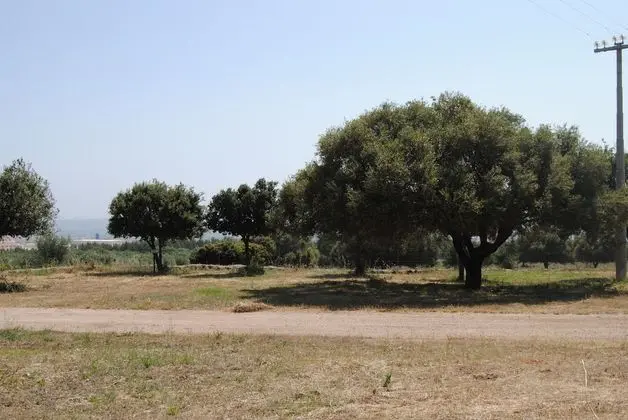 Superior Apart Daire, 2 Yatak Odası (Appartamenti Arcos)