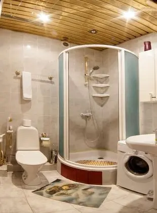 Standard Apart Daire, 1 En Büyük (King) Boy Yatak ve Çekyat, Sigara İçilmez