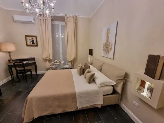 Superior Tek Büyük Yataklı Oda