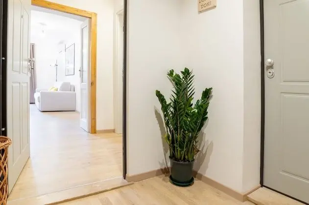 Apart Daire, 1 Yatak Odası, Mutfak