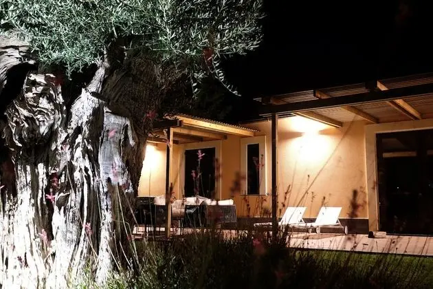 Classic Tek Büyük veya İki Ayrı Yataklı Oda, Havuz Kullanımı, Bahçe Manzaralı