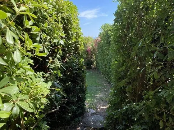 Ev, 3 Yatak Odası, Balkon