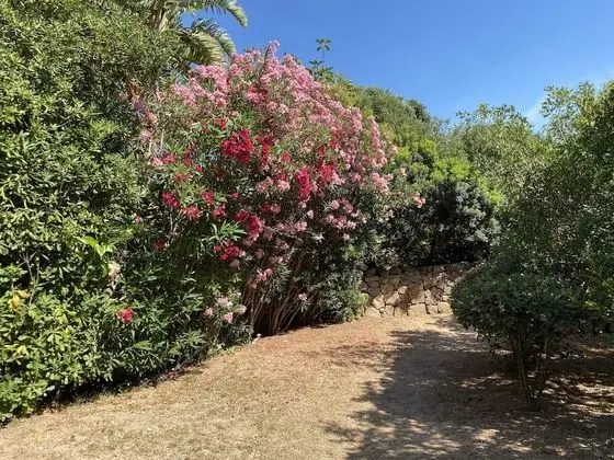 Ev, 3 Yatak Odası, Balkon