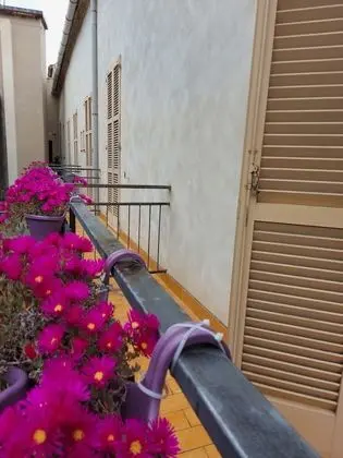 Oda, 1 Çift Kişilik Yatak