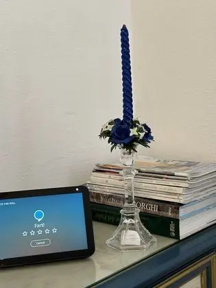 Superior Tek Büyük Yataklı Oda, 1 Büyük (Queen) Boy Yatak, Sigara İçilmez, Şehir Manzaralı