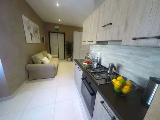 Superior Üç Kişilik Oda, Birden Çok Yatak, Şehir Manzaralı