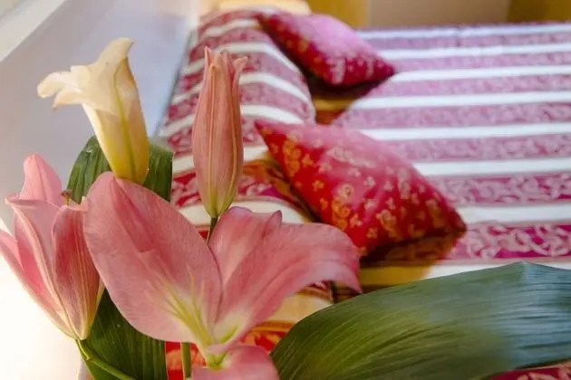 Tek Büyük veya İki Ayrı Yataklı Oda, 1 Yatak Odası, Sigara İçilmez, Şehir Manzaralı