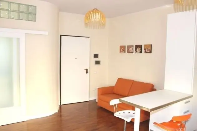 Premium Stüdyo Süit, 1 Çift Kişilik Yatak ve Çekyat, Küçük Mutfak