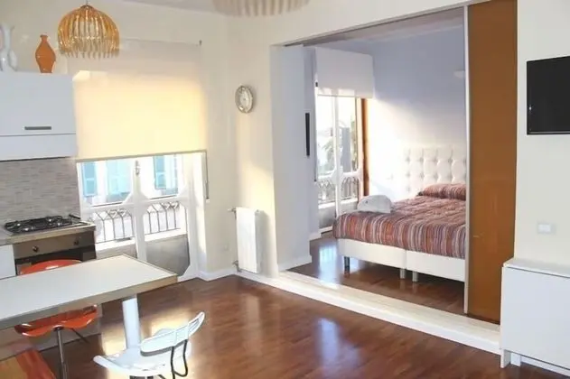 Premium Stüdyo Süit, 1 Çift Kişilik Yatak ve Çekyat, Küçük Mutfak