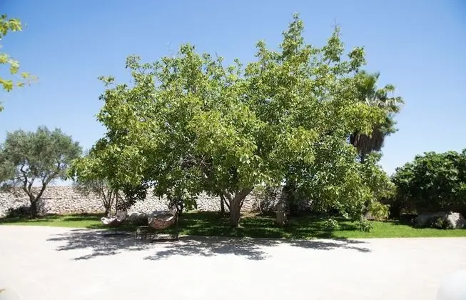 Luxury Villa, 5 Yatak Odası