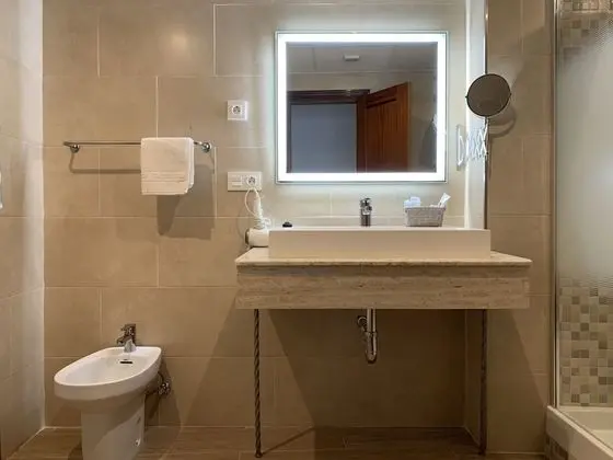 Standard Tek Büyük Yataklı Oda (Ventana)