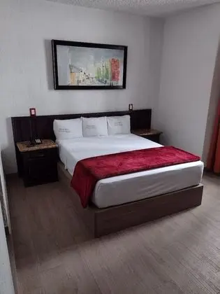 Single Room 2
