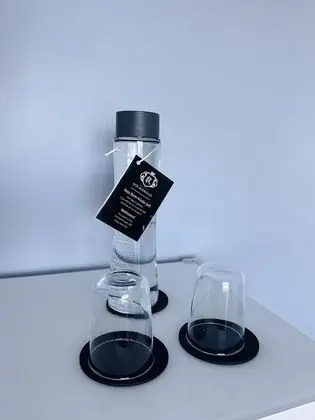 Standard Tek Büyük Yataklı Oda, 1 Çift Kişilik Yatak