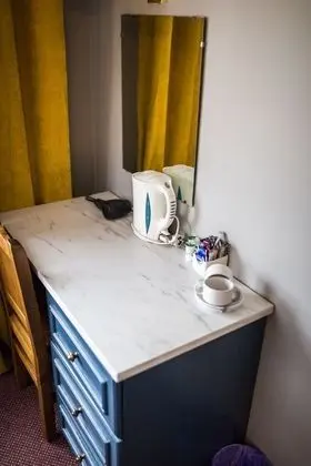 Traditional Tek Büyük Yataklı Oda, Banyolu/Duşlu (Doubleroom)