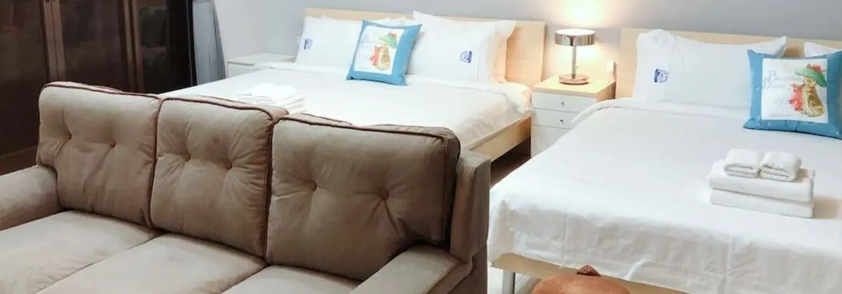 Deluxe Dört Kişilik Oda, 2 Büyük (Queen) Boy Yatak, Sigara İçilmez, Şehir Manzaralı