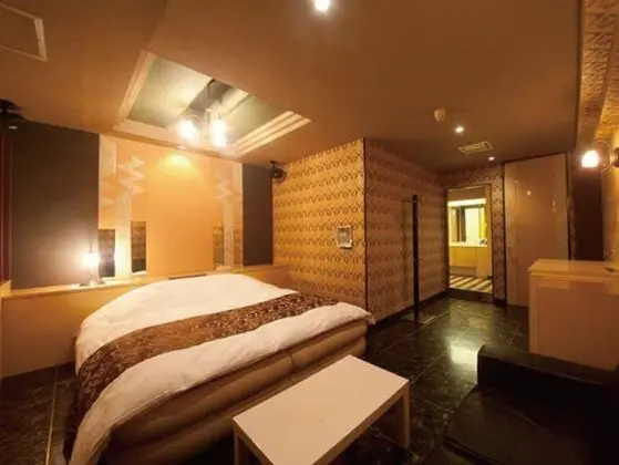 Standard Tek Büyük Yataklı Oda, Sigara İçilebilir (Love Hotel)