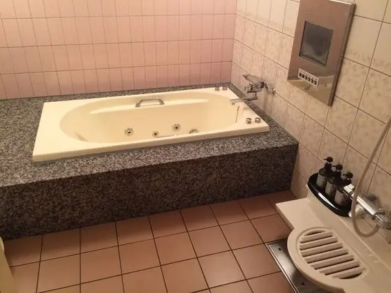 Standard Tek Büyük Yataklı Oda, Sigara İçilebilir (Love Hotel)