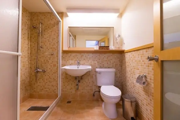 Standard Tek Büyük Yataklı Oda, Şehir Manzaralı