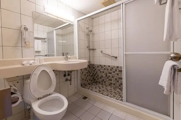 Superior Tek Büyük Yataklı Oda, Şehir Manzaralı